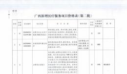 廣西新增醫(yī)療服務(wù)項目價格表（第二批）