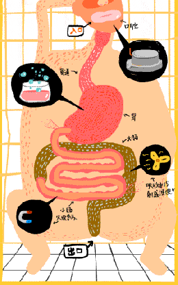 【欽二醫(yī)技術(shù)】北部灣沿海地區(qū)首例！小腸鏡檢查在我院成功開展